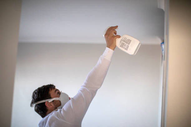 Best Emergency Mold Removal  in Fairmount, TN
