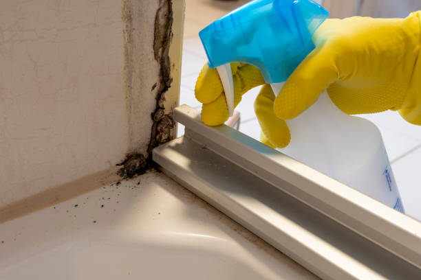 Best Office Mold Removal Services  in Fairmount, TN