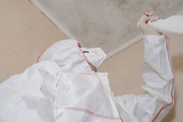 Best Mold Testing  in Fairmount, TN