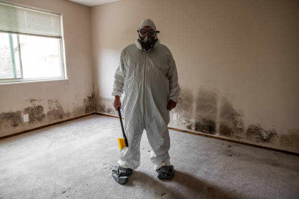 Professional Mold Removal in Fairmount, TN
